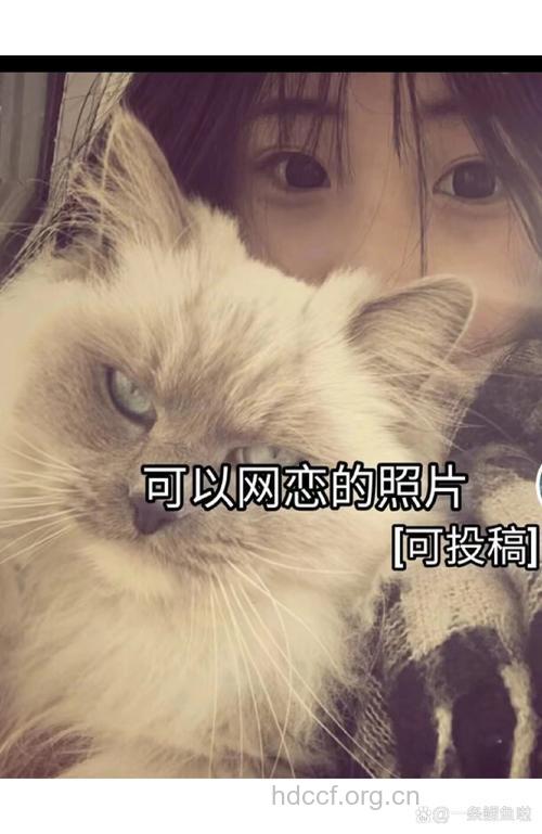 当网恋成为流行