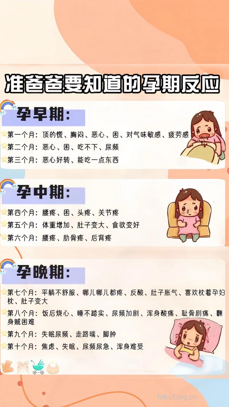 孕期如何应对妊娠反应