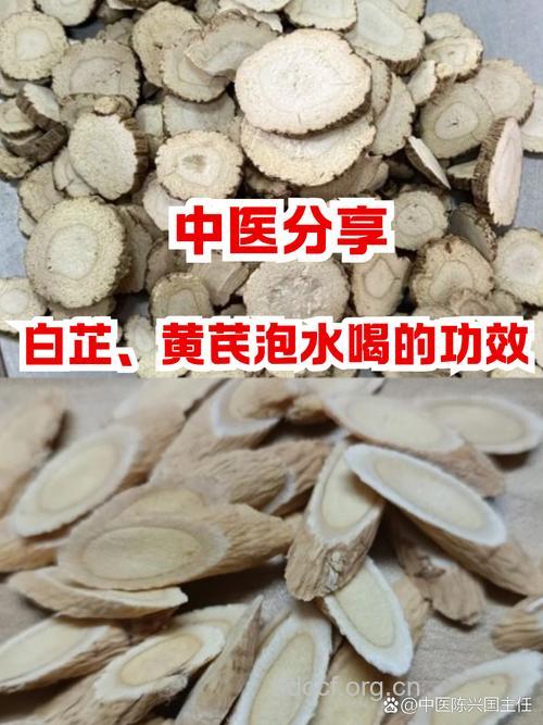黄耆白芷汤的组成及作用