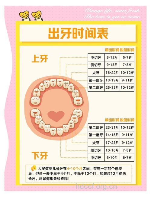 新妈妈哺乳期如何保健牙齿