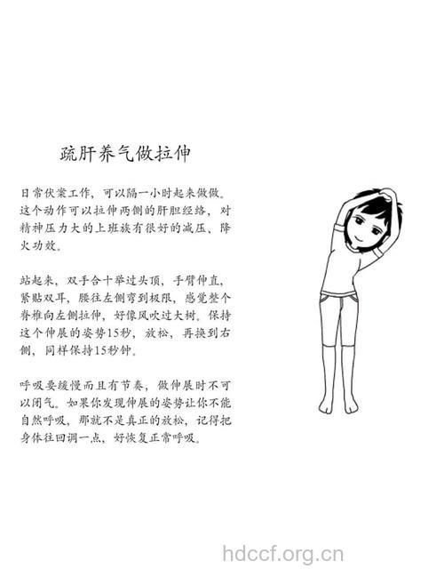 白领应该如何护肝润肤