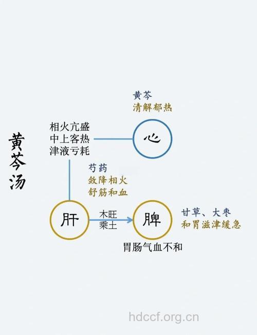 黄芩定乱汤的组成及作用