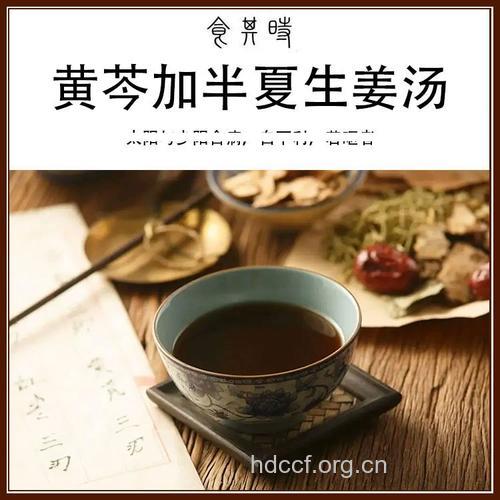 黄芩半夏生姜汤的组成及作用