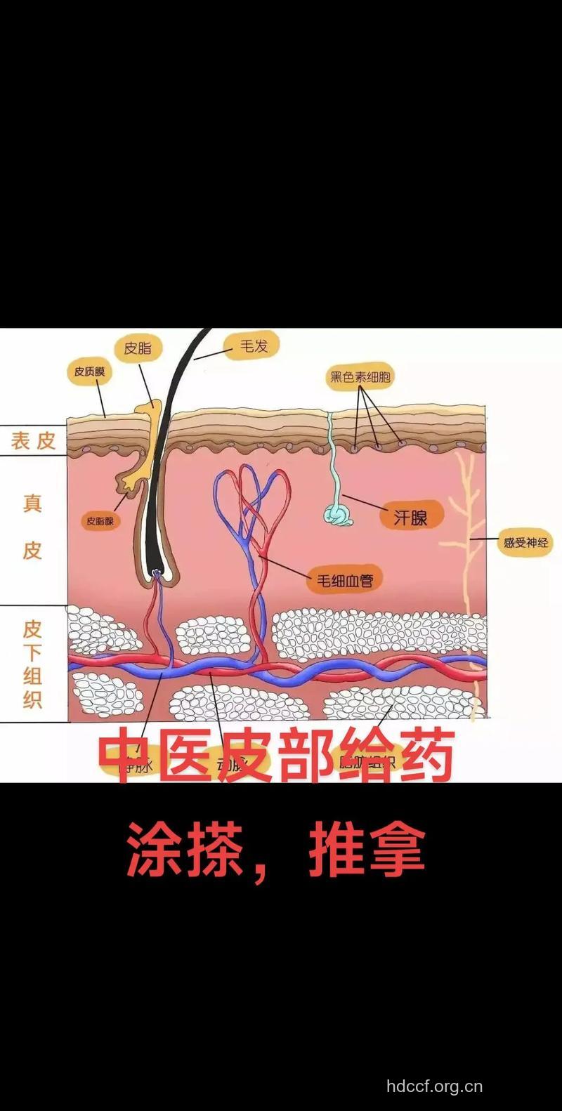 中医治疗接触性皮炎的方法