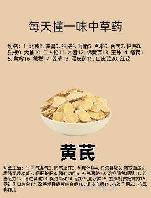 黄耆煮散的组成及作用