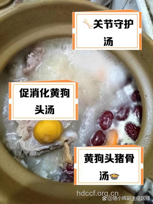 黄犬肉丸的组成及作用