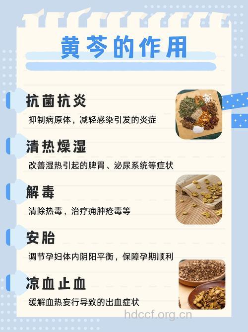 黄芩知母汤的组成及作用