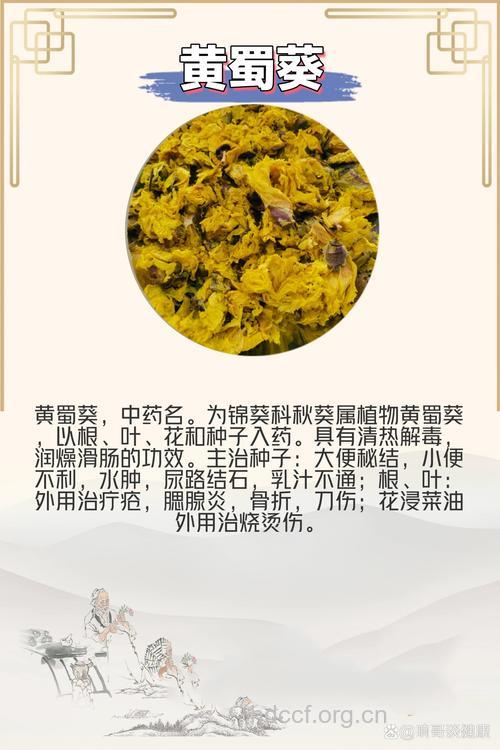 黄蜀葵散的组成及作用