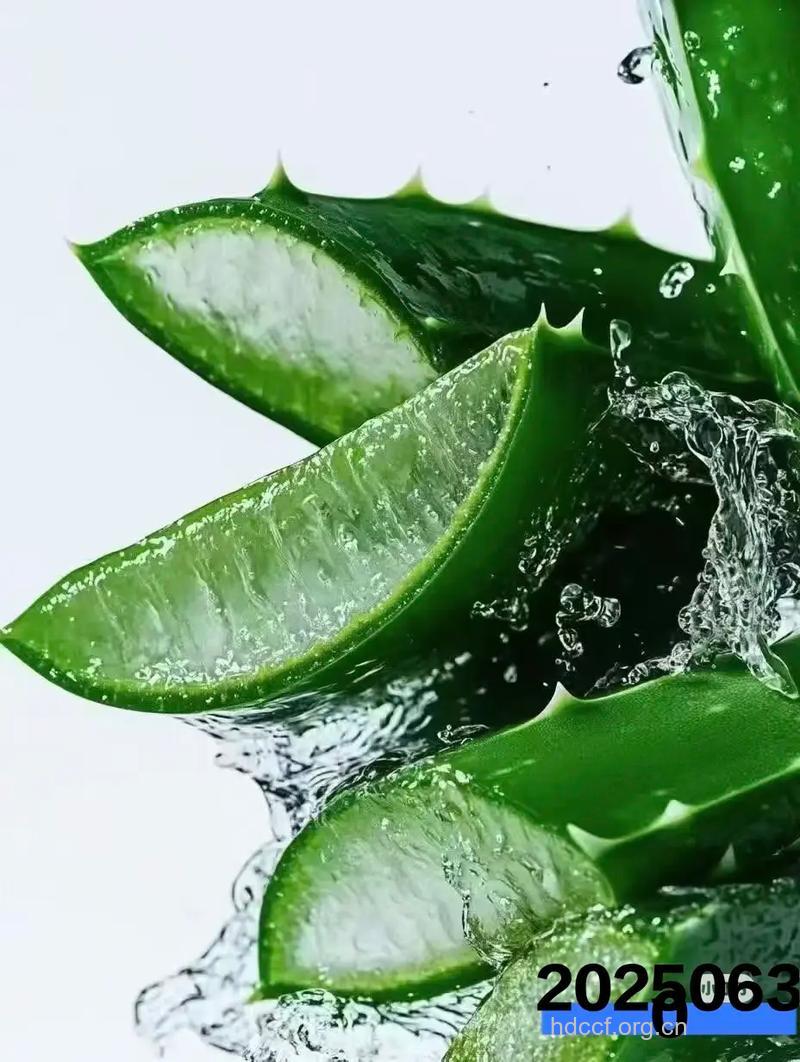 小心 鲜芦荟汁毁你容！