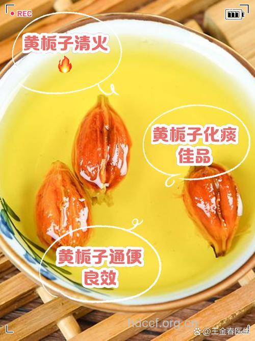 黄铤子的组成及作用