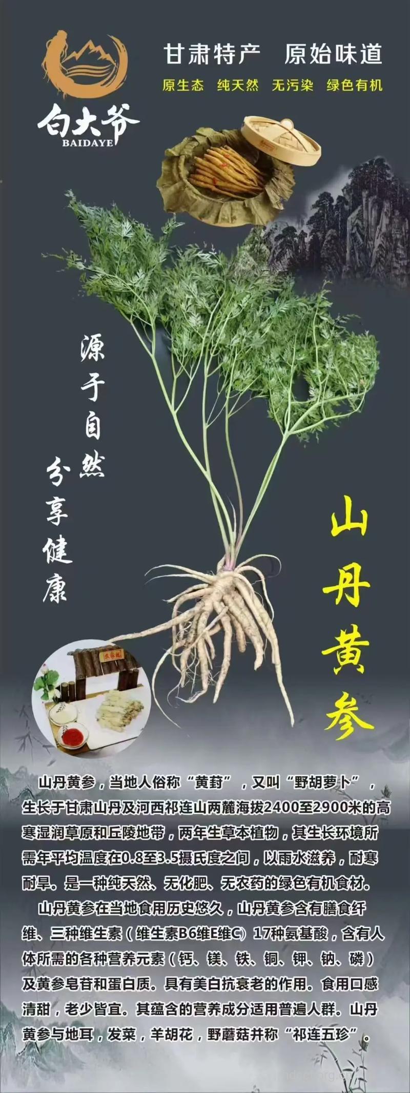 黄英丹的组成及作用