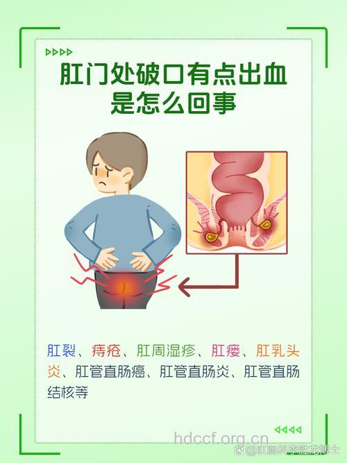 肛裂为什么会出血