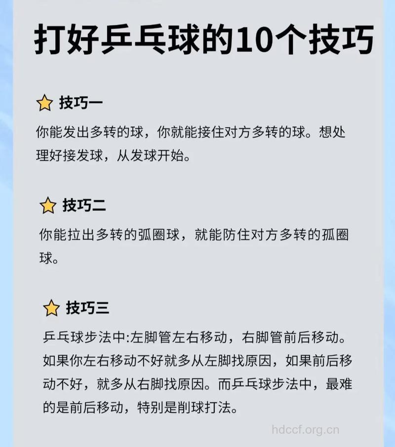 乒乓球运动的类型和打法