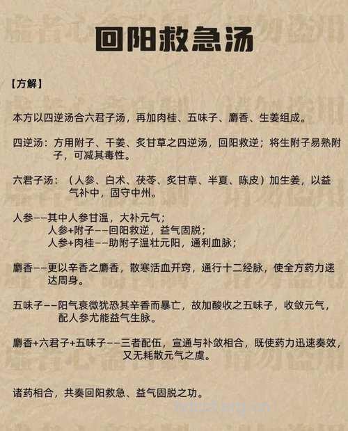 回生汤的组成及作用