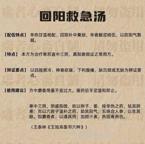 回阳急救散的组成及作用