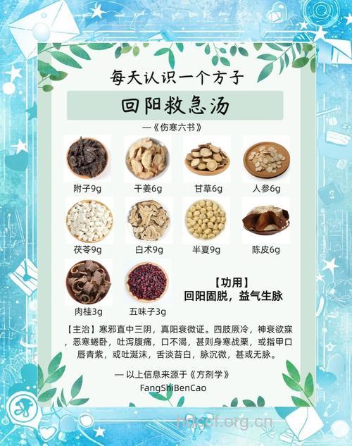 回阳返本汤的组成及作用
