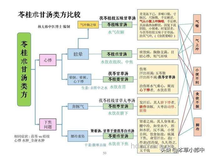 回首散的组成及作用