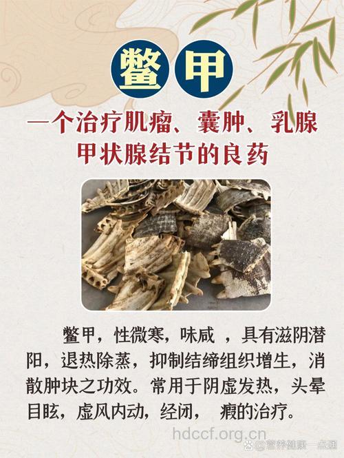 茴香鳖甲丸的组成及作用