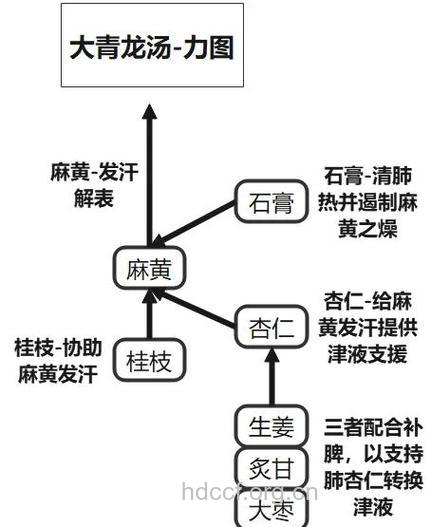 回正散的组成及作用