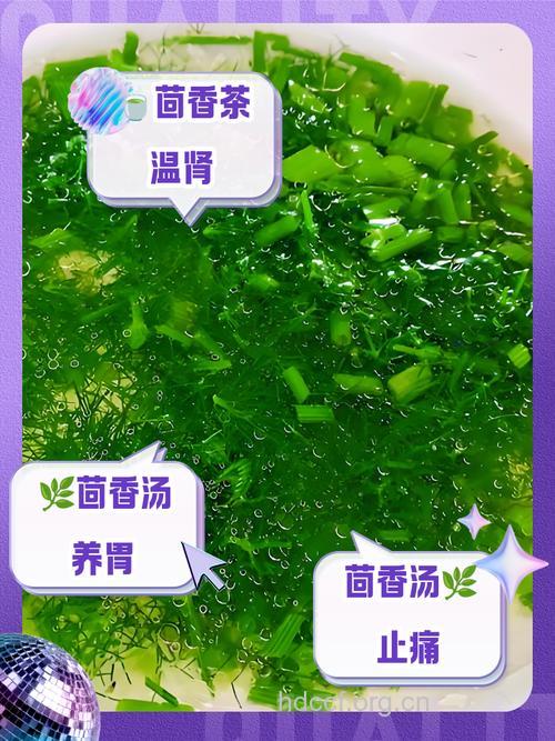 茴香粥的组成及作用