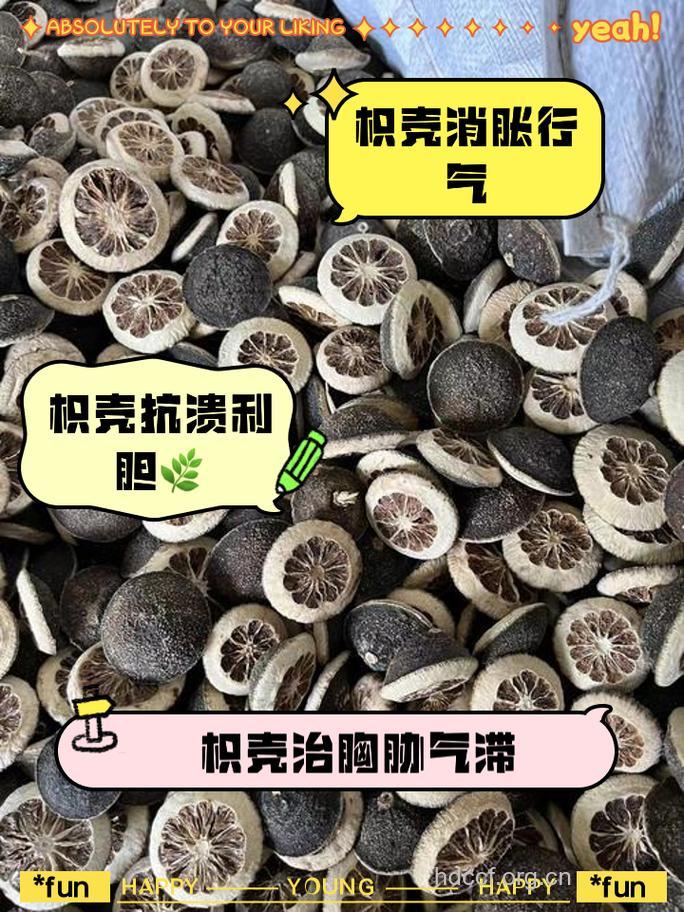 茴香枳壳丸的组成及作用