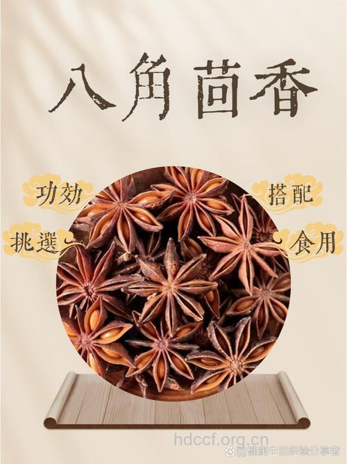 茴香散的组成及作用