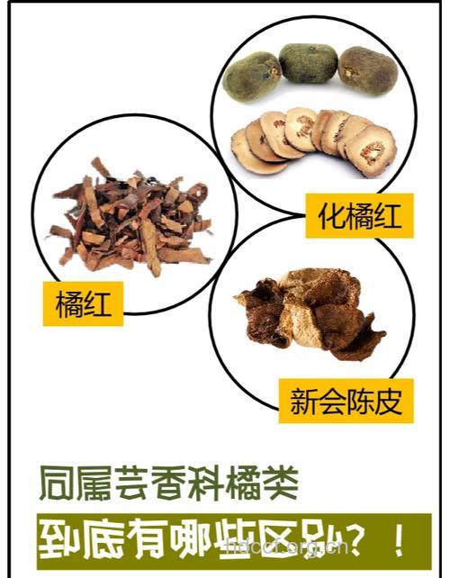 茴香橘皮酒的组成及作用