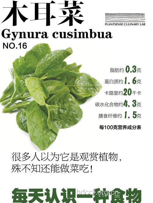 孕妇吃什么|孕妇能吃木耳菜吗