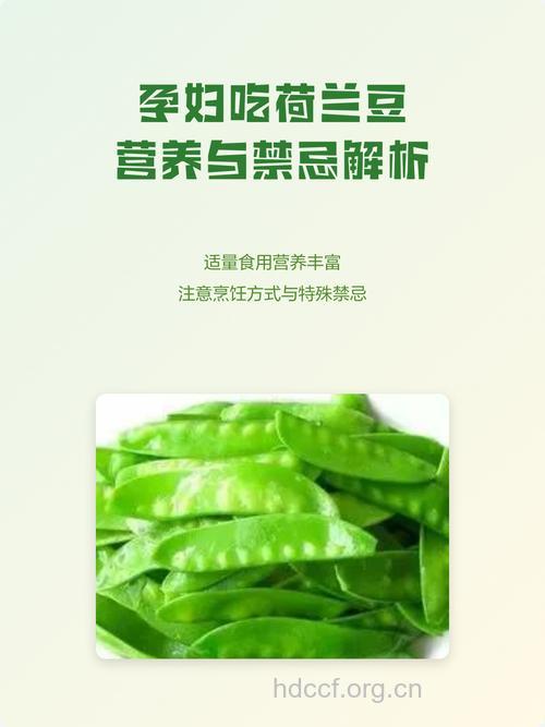 孕妇吃什么|孕妇能吃荷兰豆吗