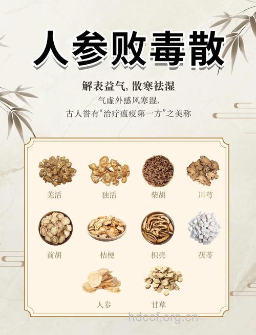 会毒散的组成及作用