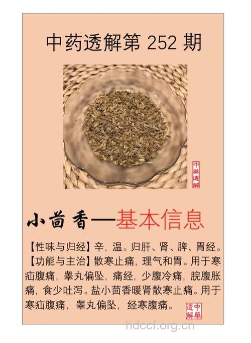 茴消散的组成及作用