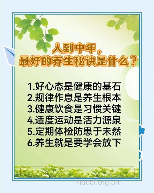 中年20年养生是关键