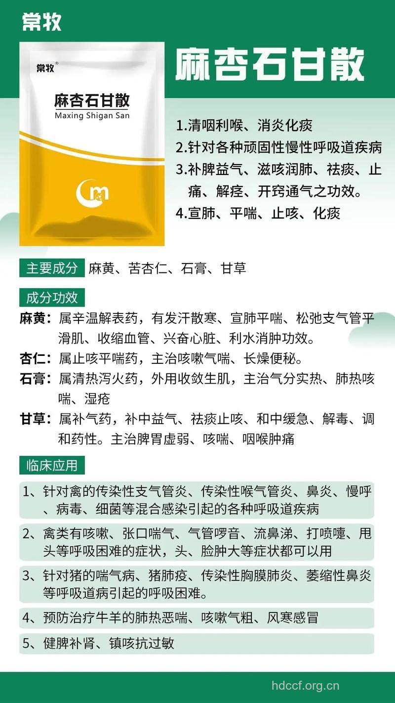 活调敷散的组成及作用