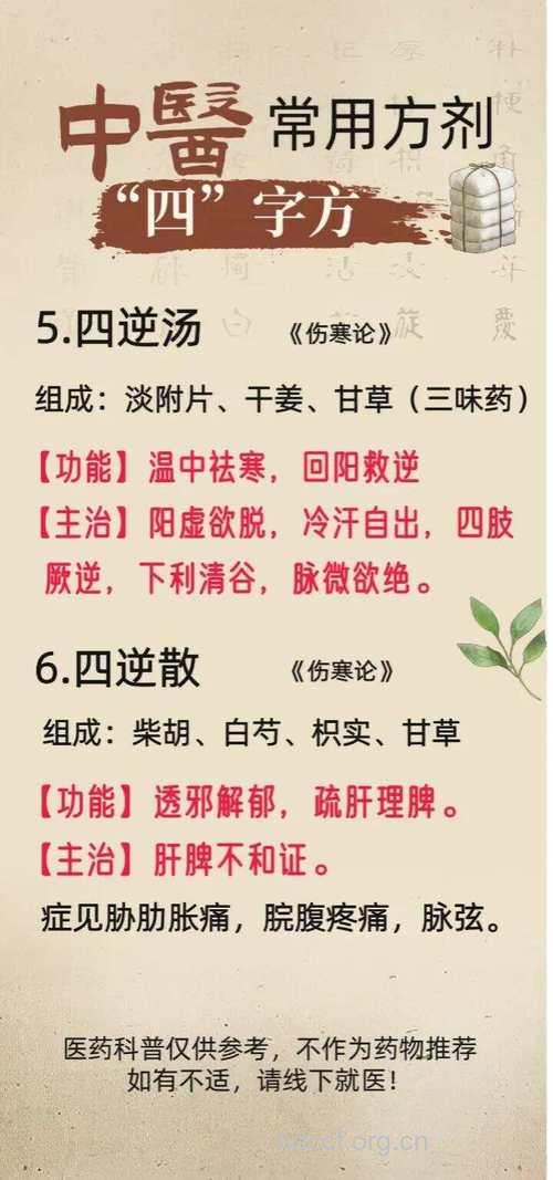 魂停汤的组成及作用