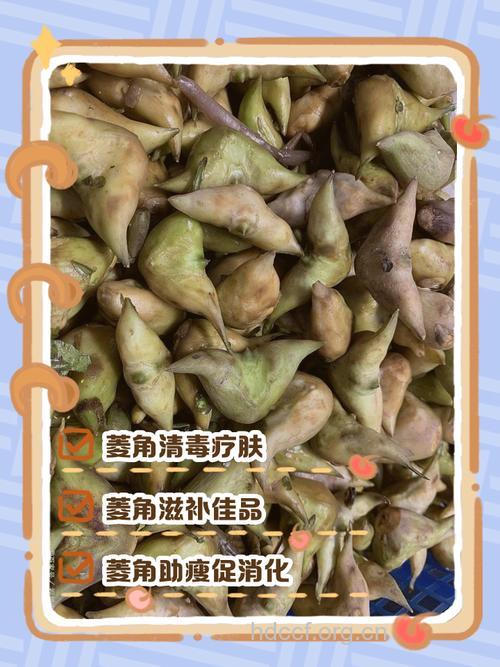 孕妇吃什么|孕妇能吃菱角吗