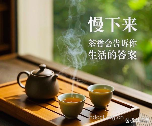品茶，漫漫养生之路