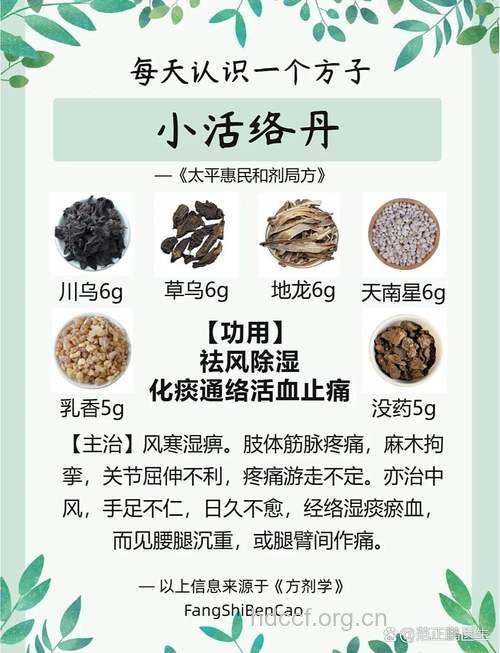 活络丹的组成及作用