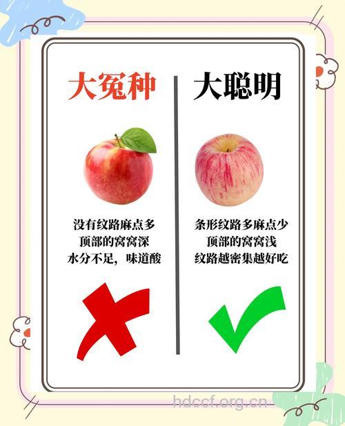 水果不要急着去挑选