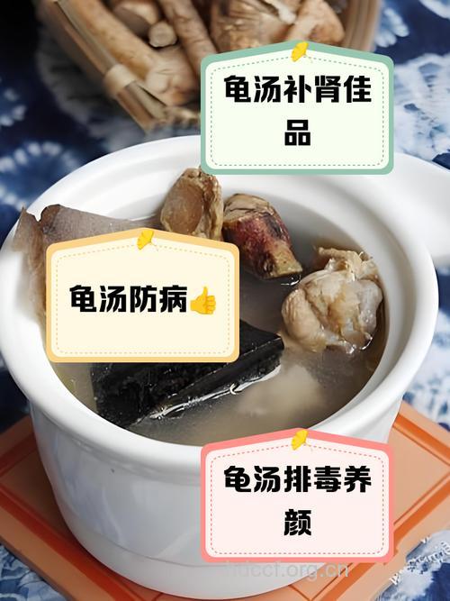 活龟丸的组成及作用
