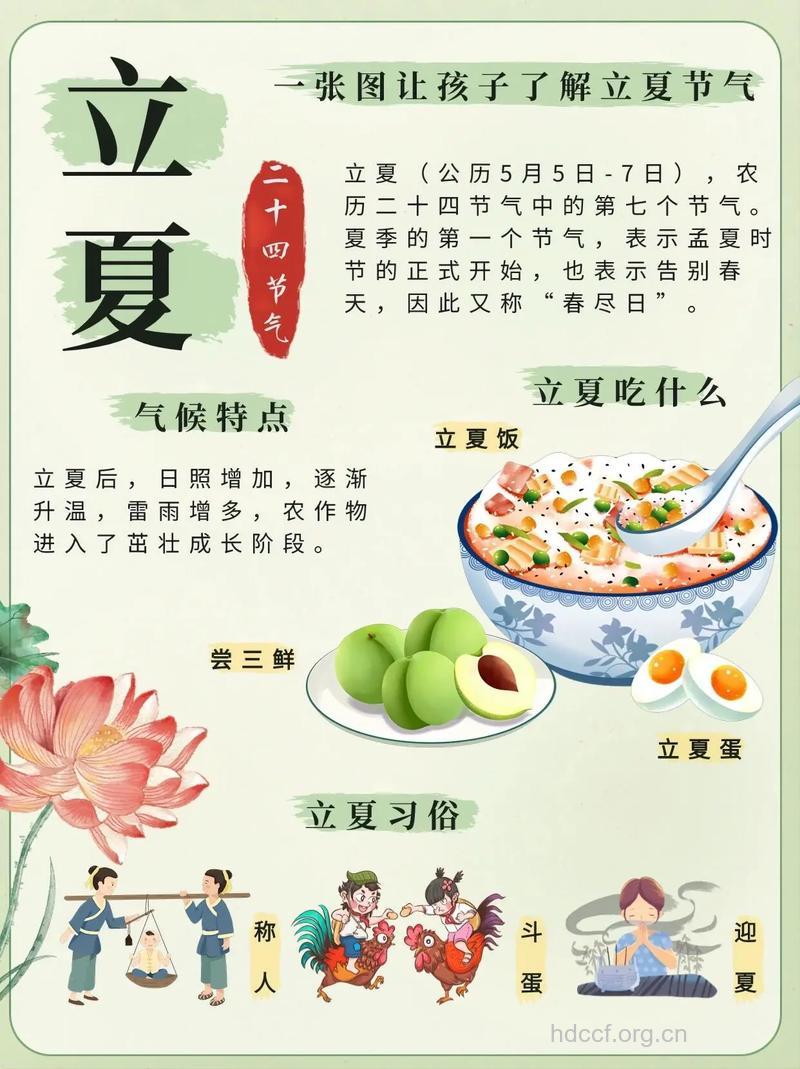 我们立夏该怎么养生呢