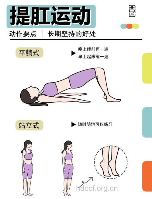 预防内痔做提肛运动