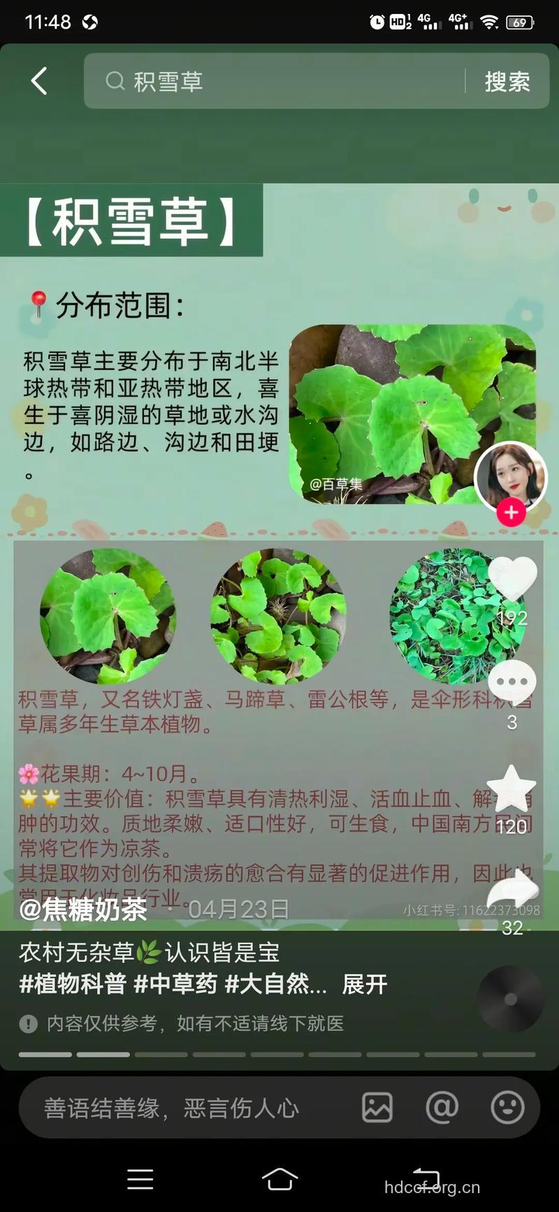 活血煎的组成及作用