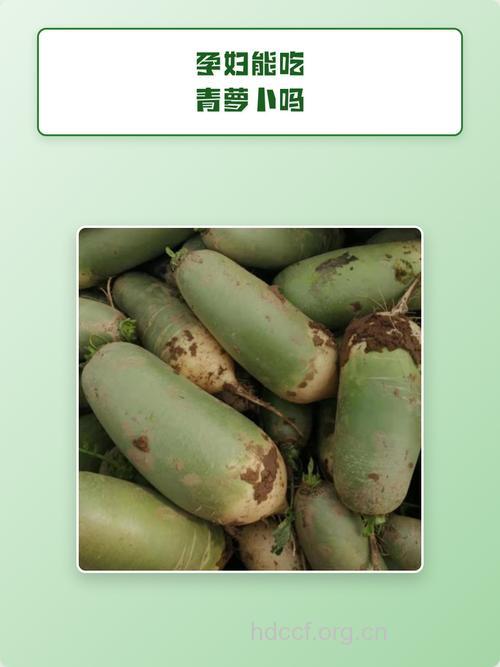 孕妇吃什么|孕妇能吃青萝卜吗