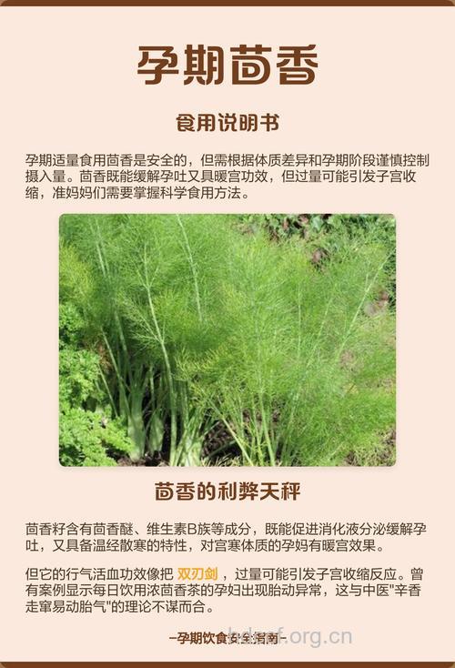 孕妇吃什么|孕妇能吃香菜吗