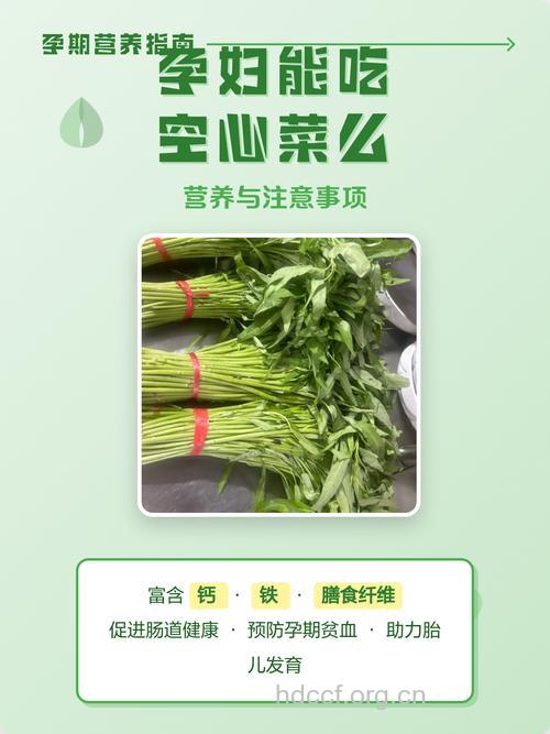 孕妇吃什么|孕妇能吃空心菜吗