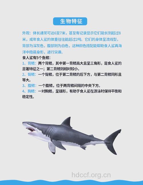 “盘头鲨”有哪些治疗方法