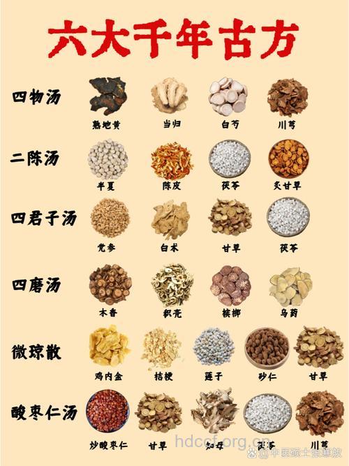 藿连汤的组成及作用