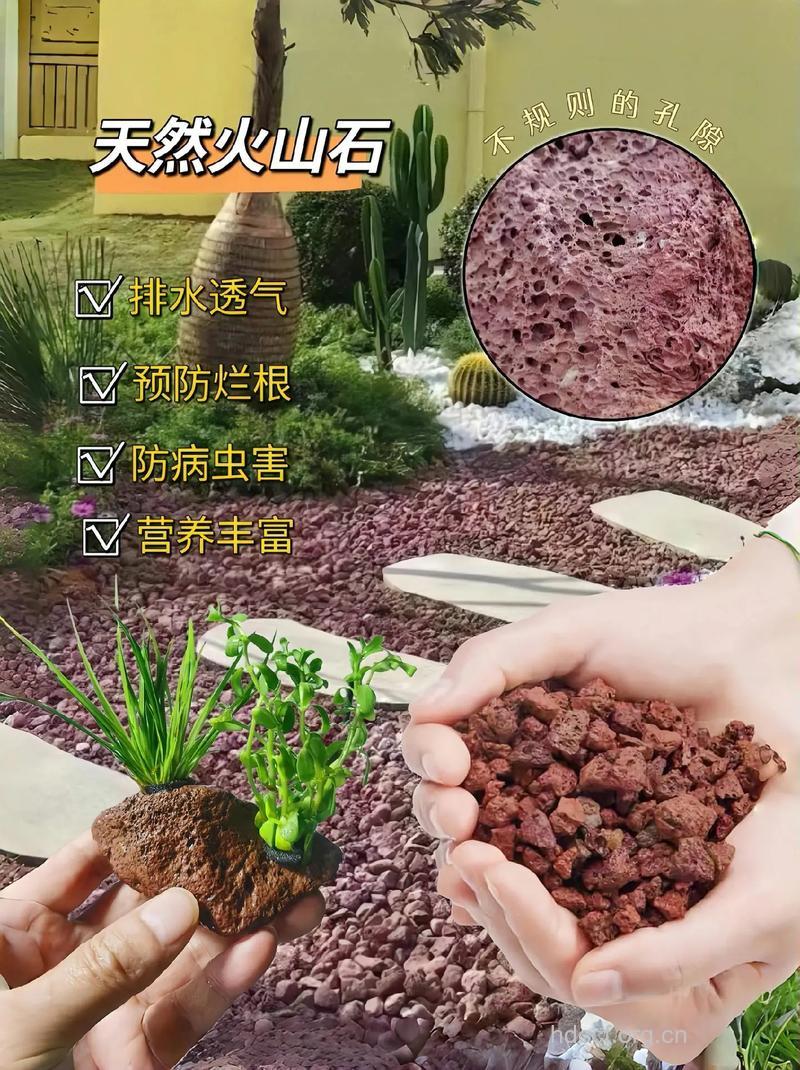 火珠浆的组成及作用