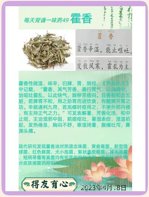 藿香饮的组成及作用