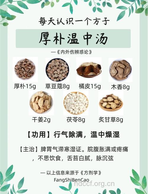 藿香厚朴汤的组成及作用